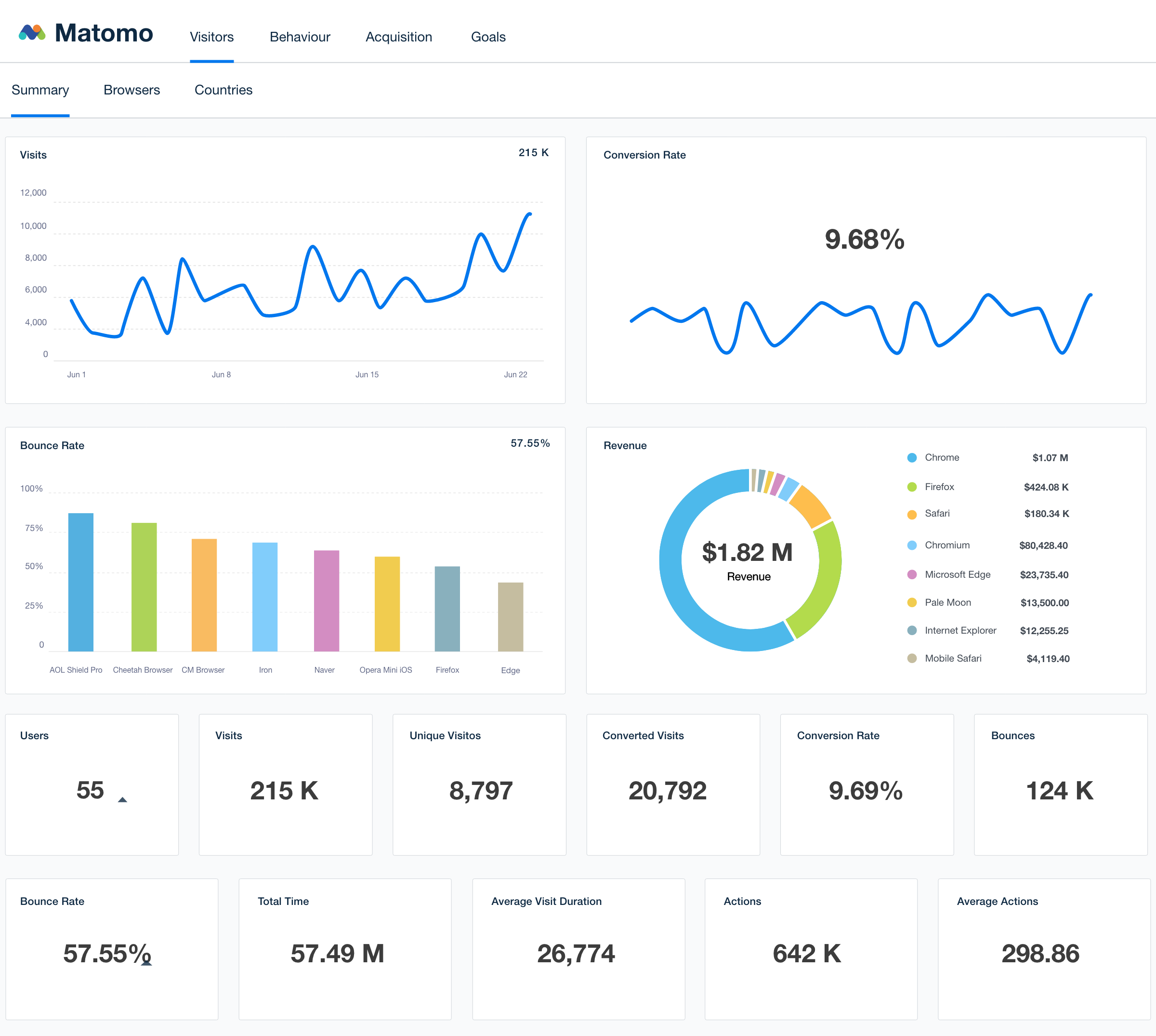 Matomo Dashboard Template Example