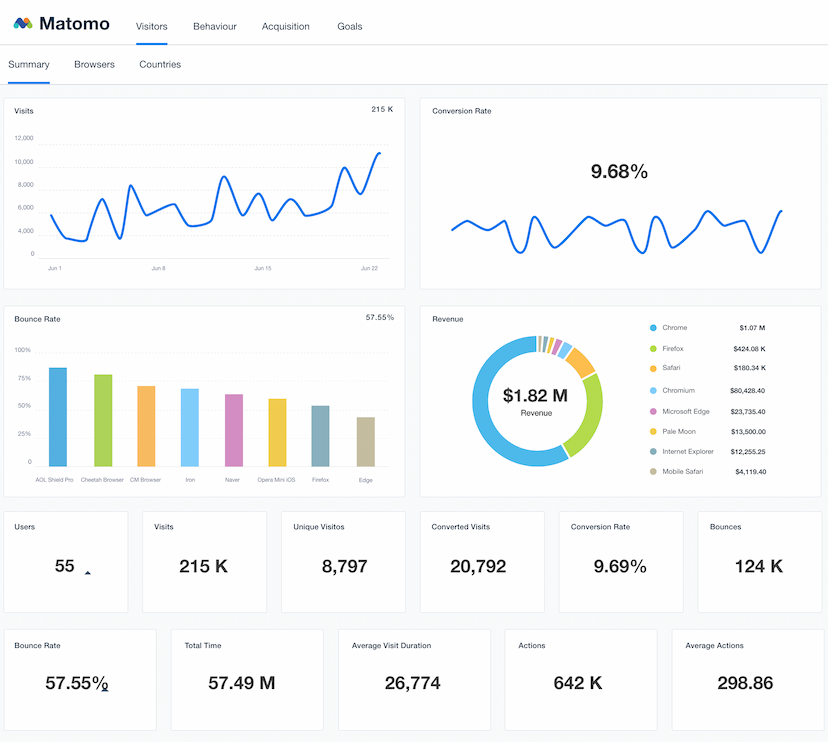 Matomo Dashboard Template Example