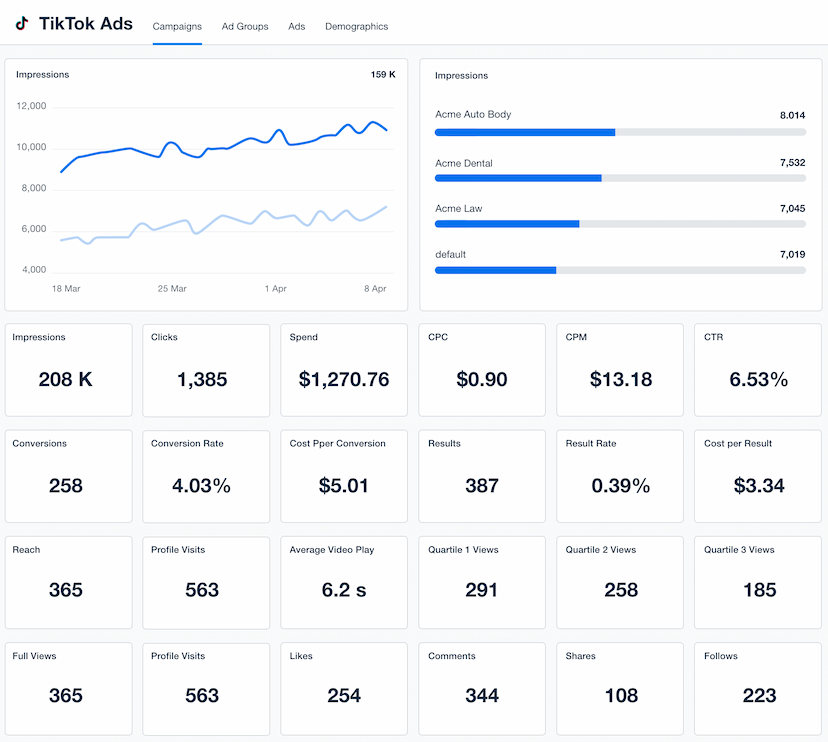 TikTok Ads Dashboard Template Example

