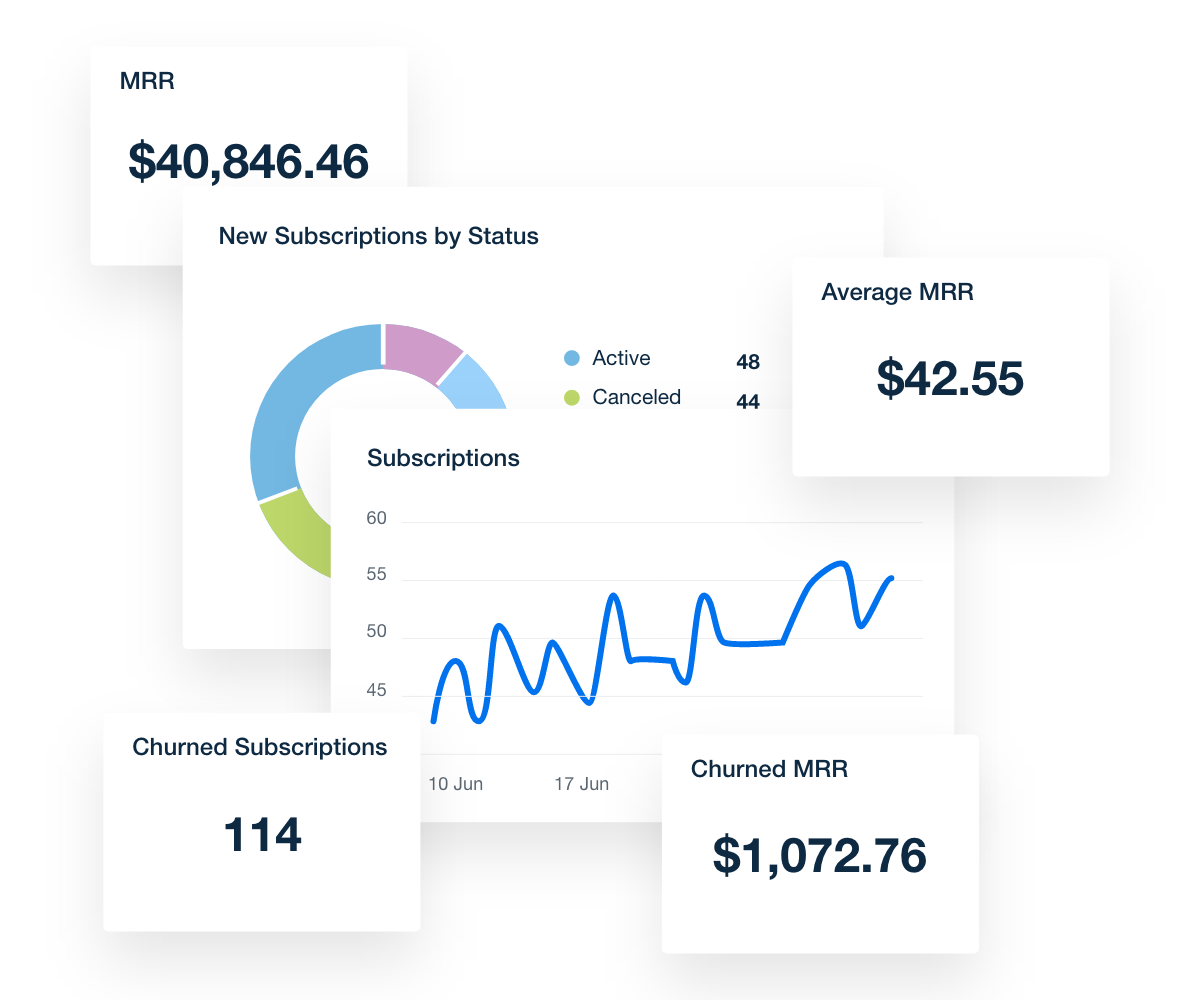 Subscriptions Data Widget Examples from a customizable Stripe dashboard. 