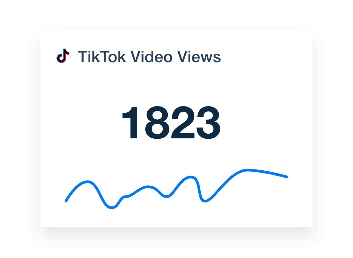 TikTok Video Views Metric Widget Example from the TikTok Report Template