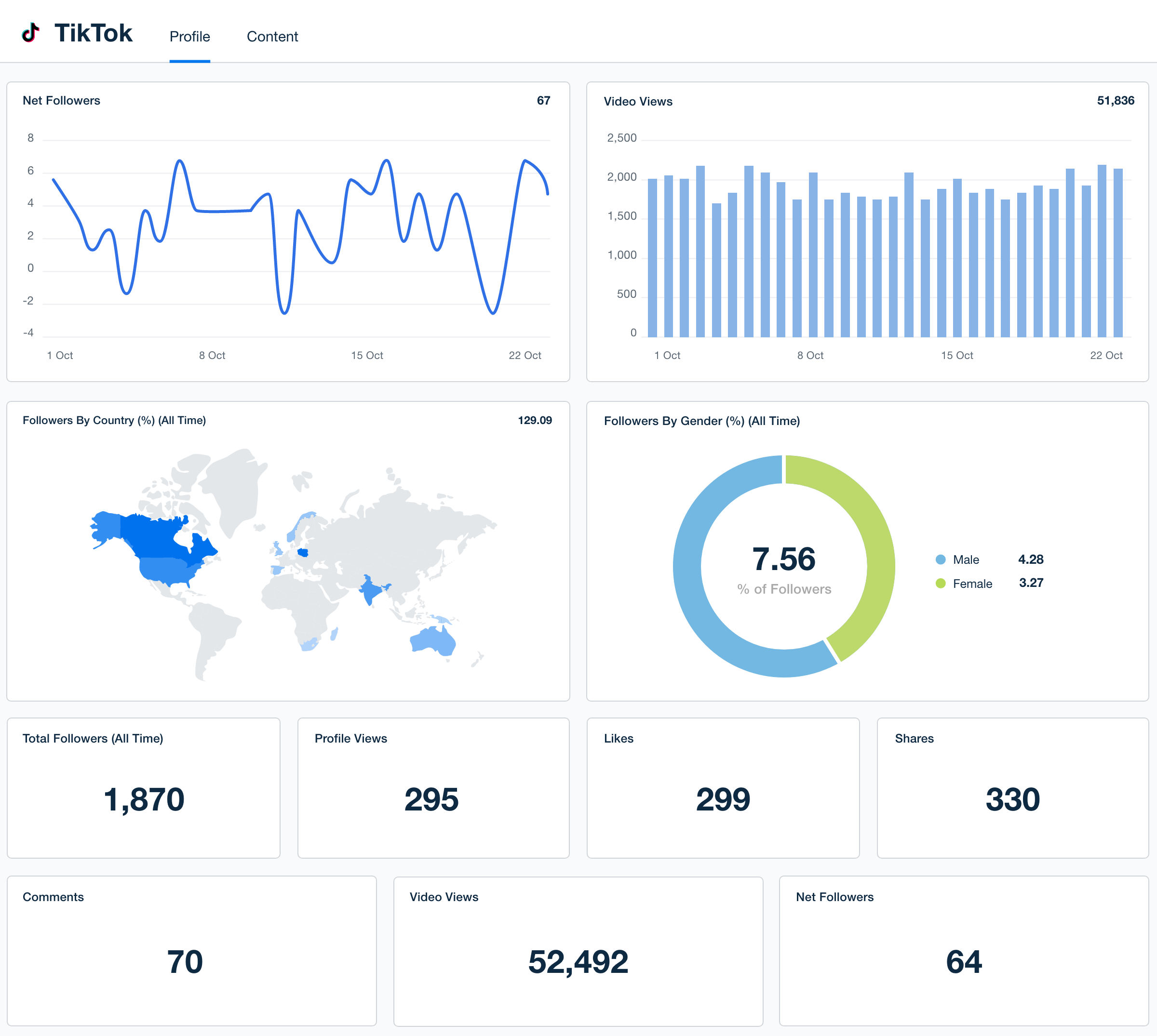 Tiktok dashboard template example