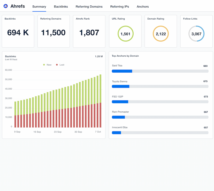 Ahrefs Dashboard Template Example

