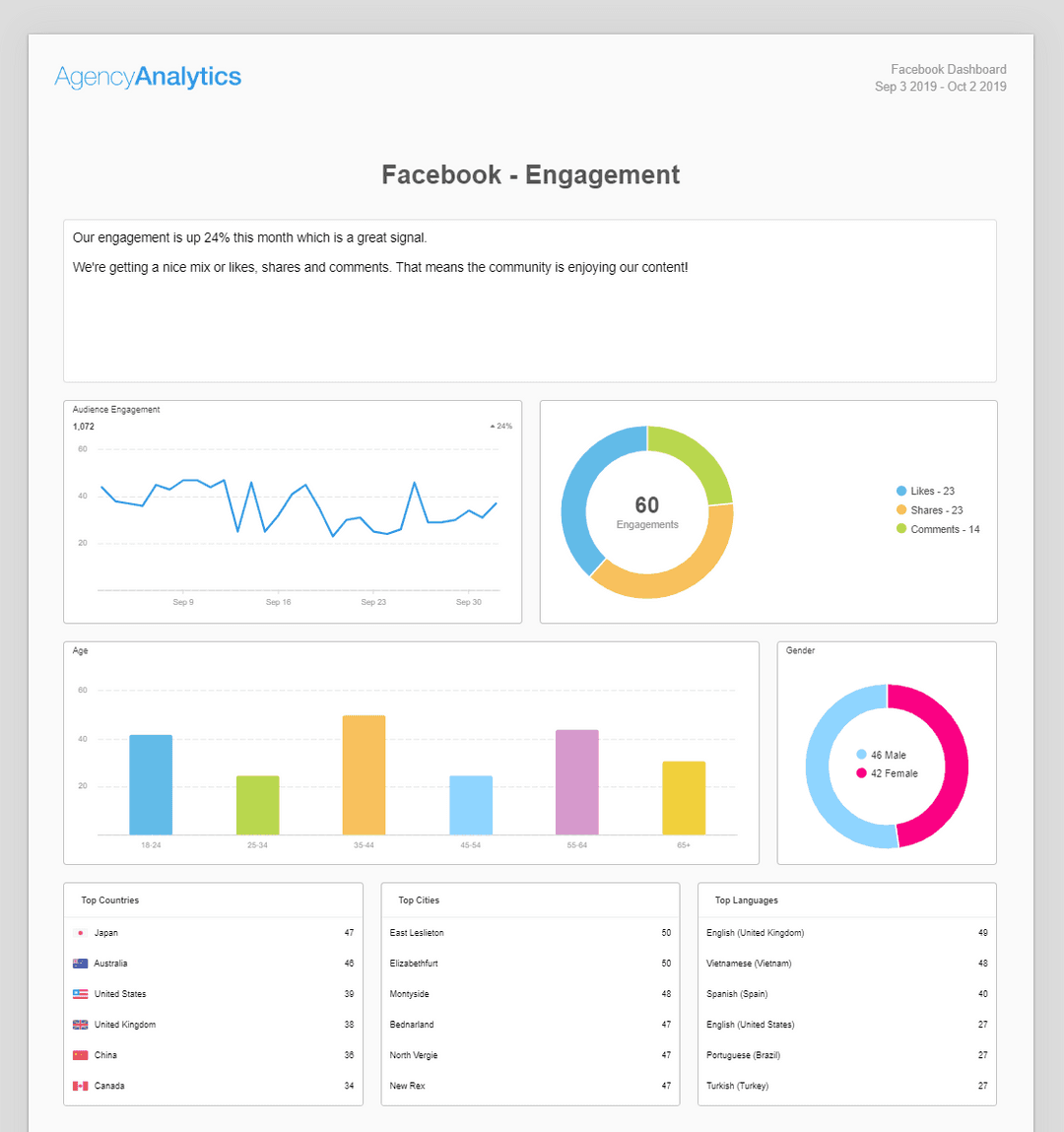 Build a Facebook Report (for Clients) with Our Template! AgencyAnalytics