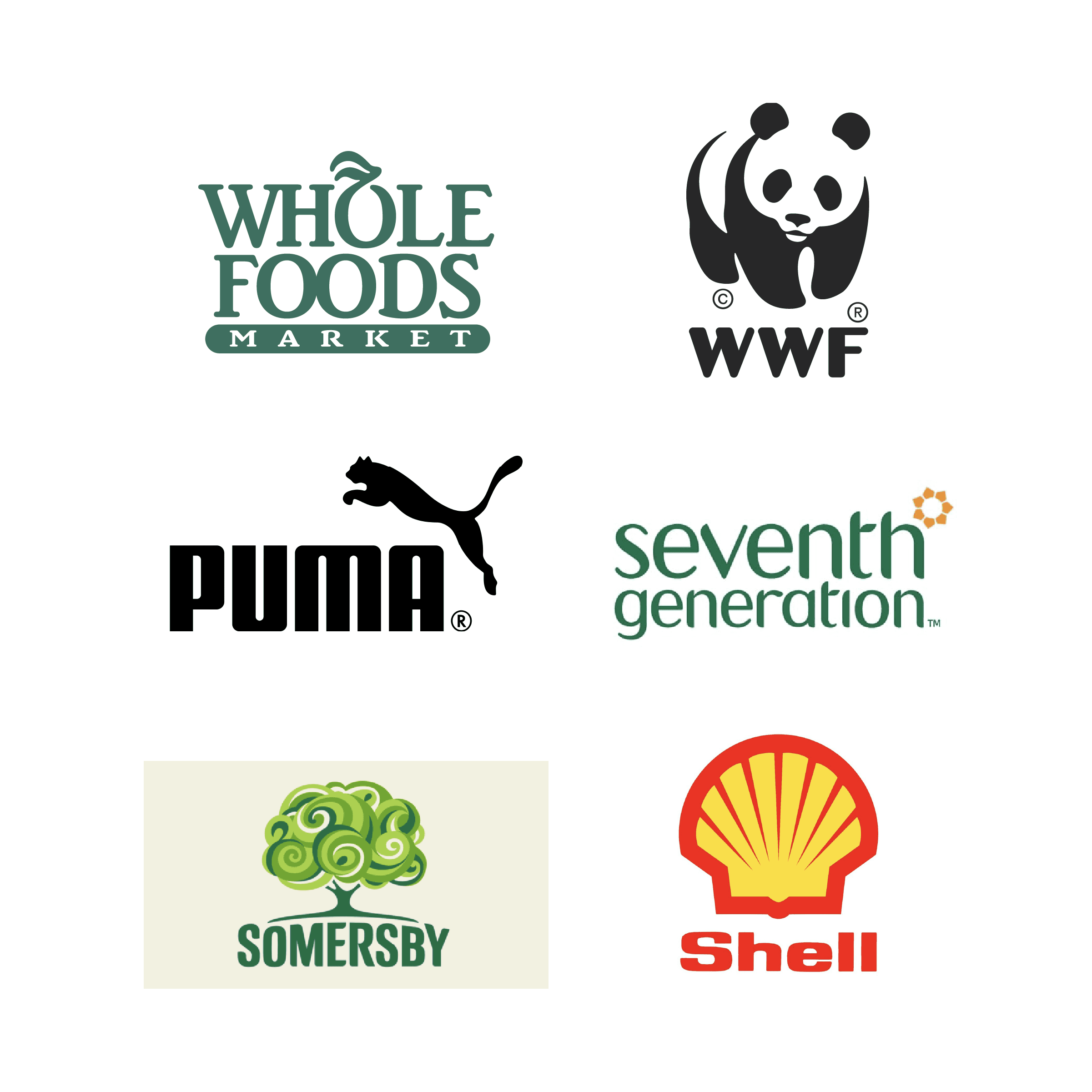 A collage of logos using natural shapes A collage of logos using natural shapes