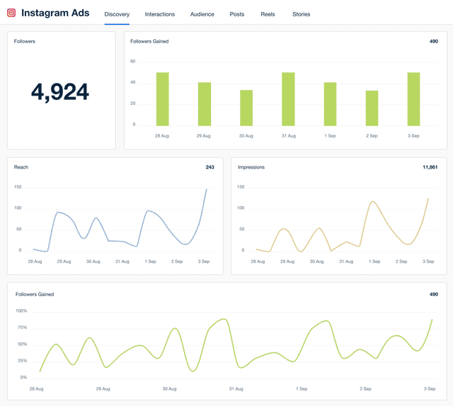 Instagram Ads Dashboard Template Example