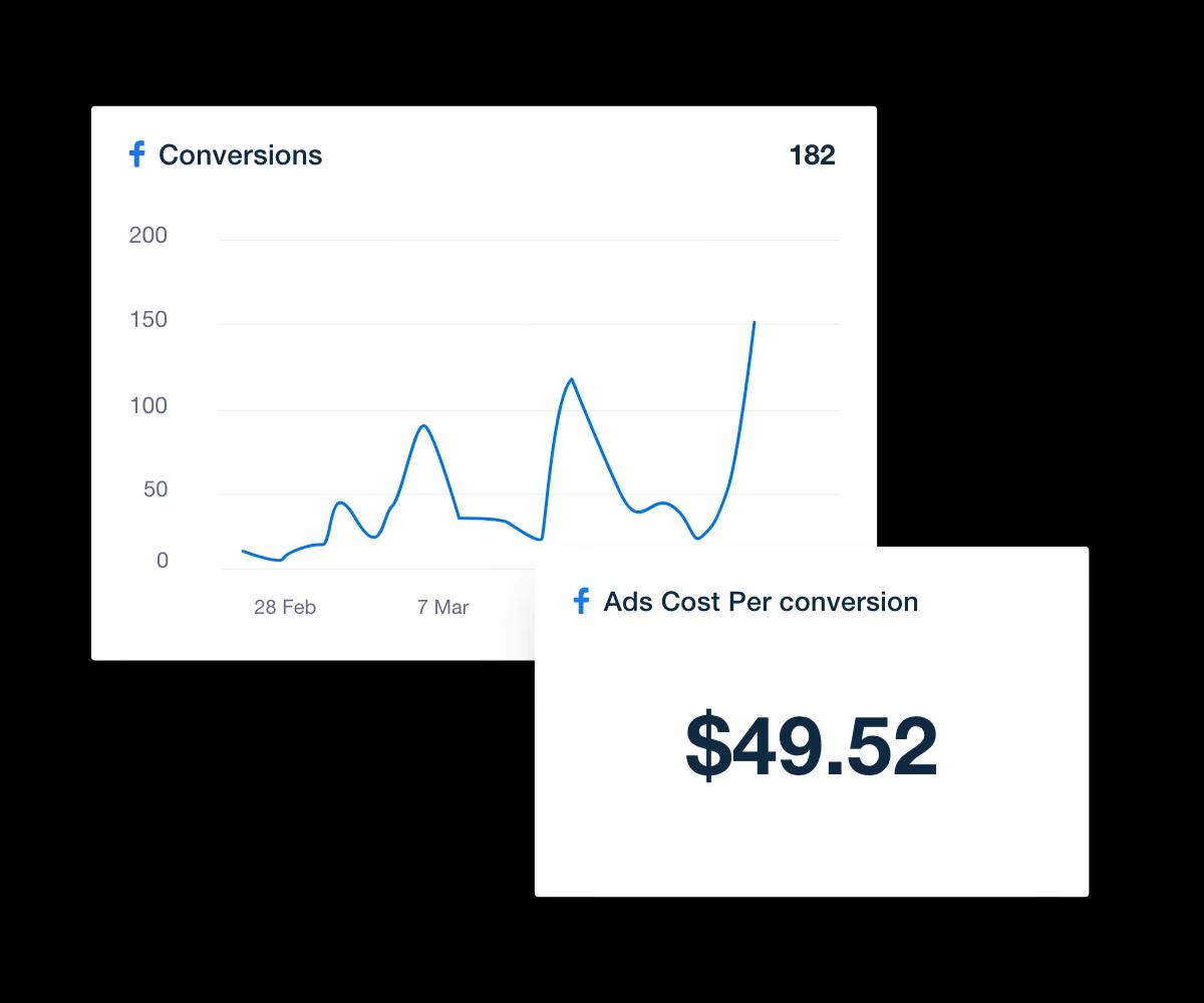 Facebook Ads Conversion Data Report Example