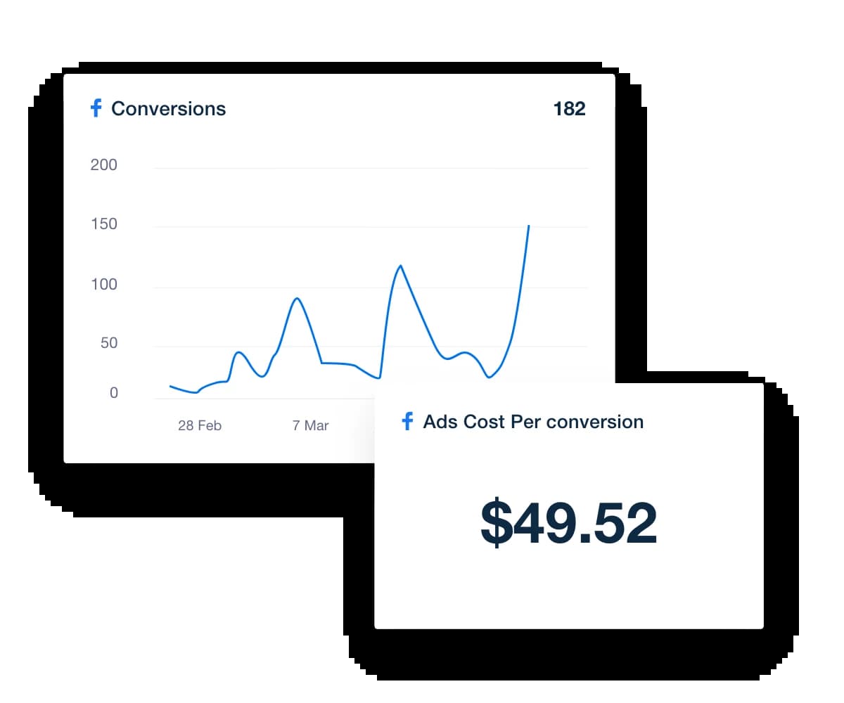 Facebook Ads Conversion Data Report Example