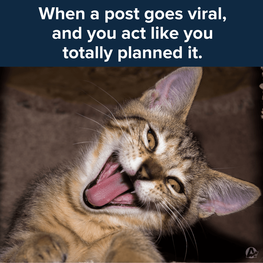 When a Post Goes Viral Funny Marketing Meme When a Post Goes Viral Funny Marketing Meme
