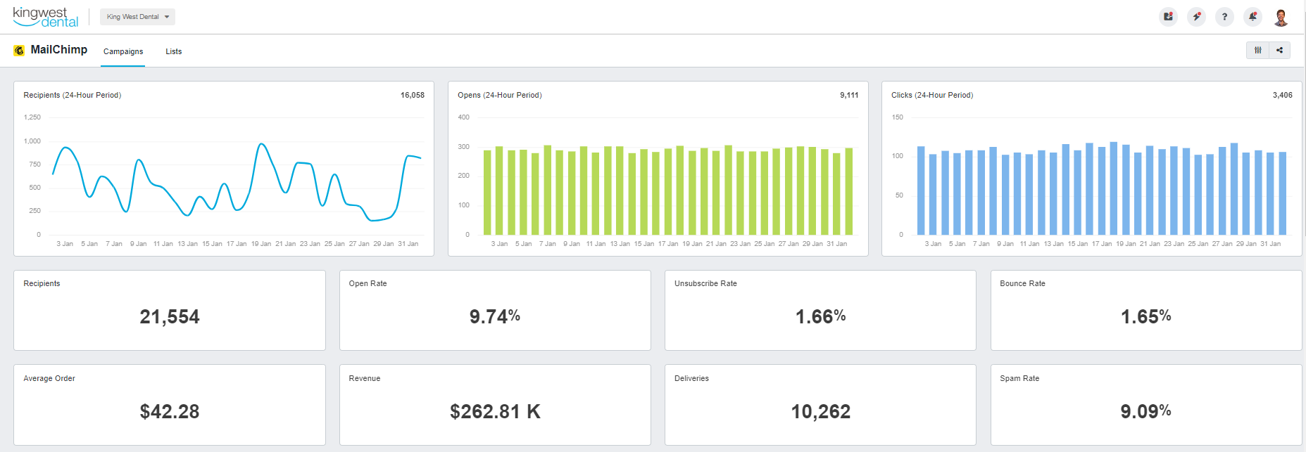 Mailchimp Email Revenue Report Example