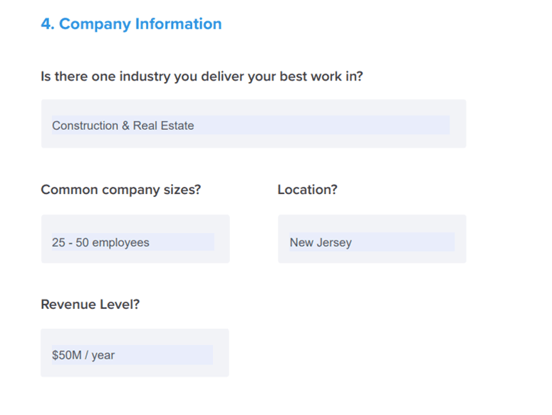 How to Define Your Ideal Client - Company Information Example