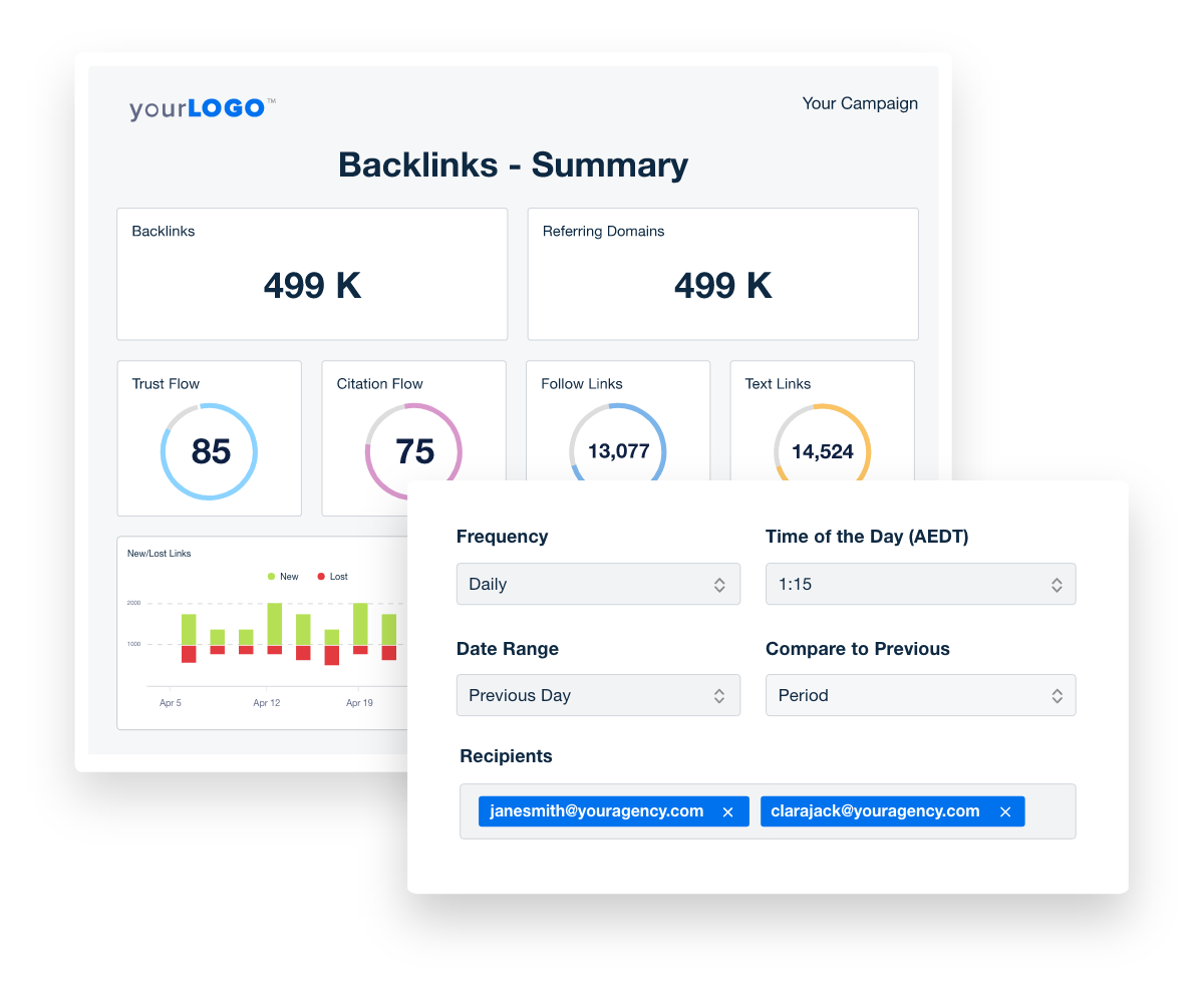 Backlink Monitor summary report