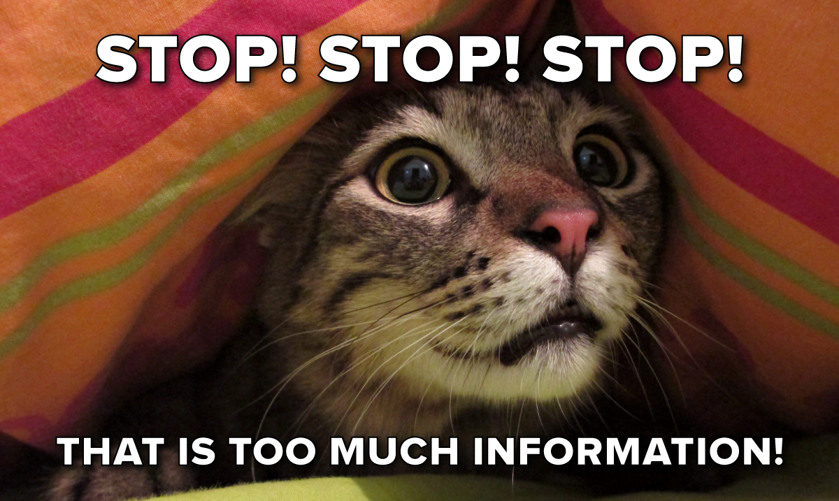 A marketing agency meme about getting too much information from the client A marketing agency meme about getting too much information from the client