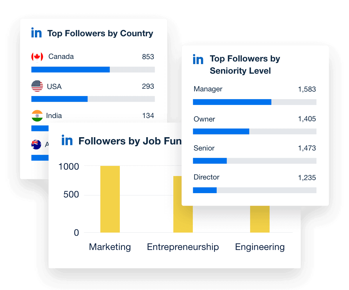 Audience Demographics Graph Example from the LinkedIn Analytics reporting tool
