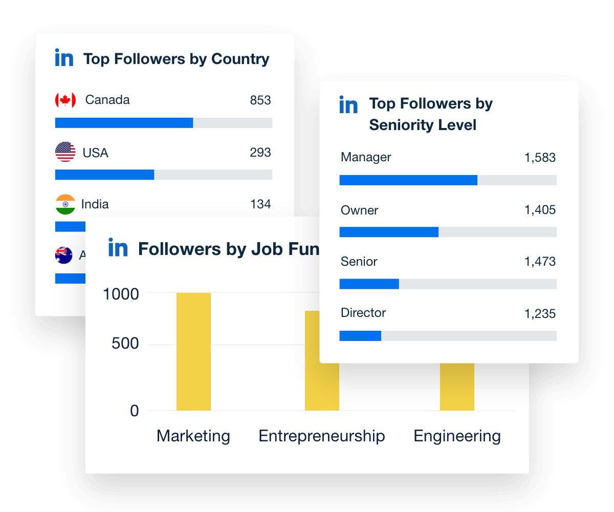 Audience Demographics Graph Example from the LinkedIn Analytics dashboard