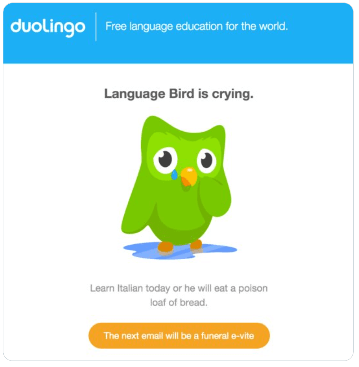 Duolingo crying Duolingo crying