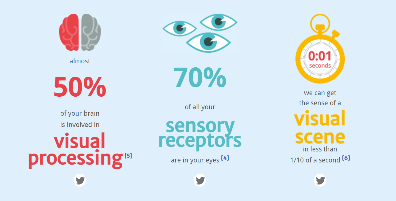 Neomam Visual Processing Statistics