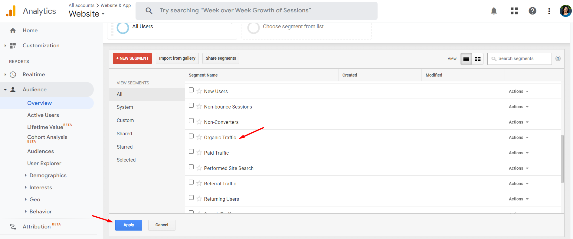 Google Analytics - Organic Traffic Segment