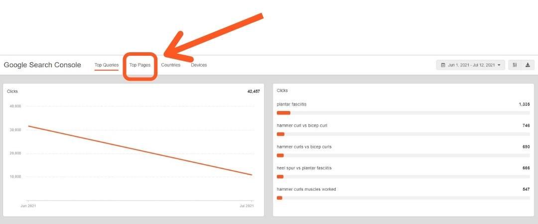 Google Search Console Top Pages Report in AgencyAnalytics
