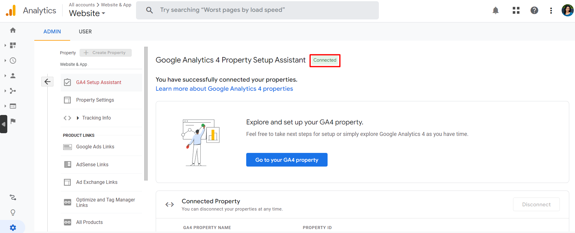 Google Analytics - Property Connected Google Analytics - Property Connected