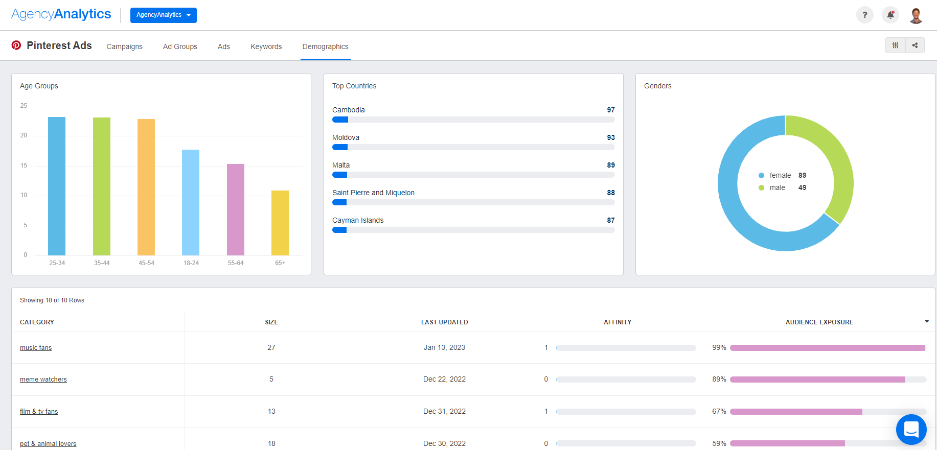 AgencyAnalytics - Pinterest Ads Demographics