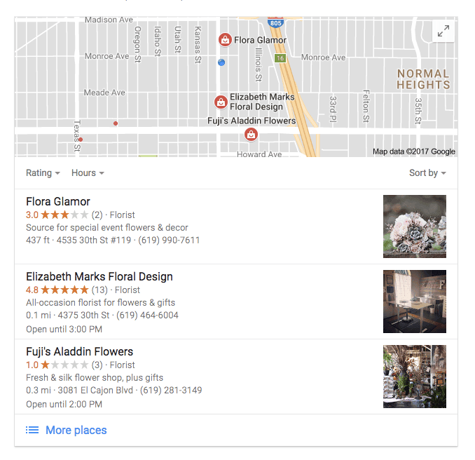 Google maps results