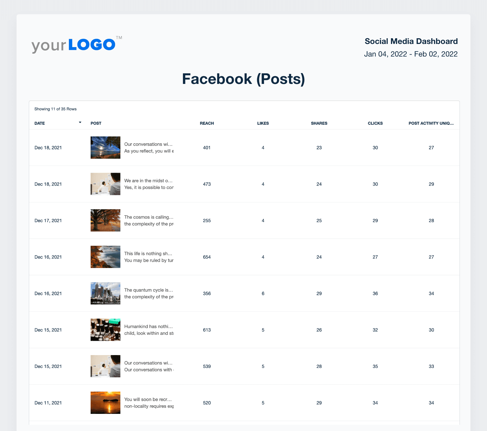 An example of the Facebook post data report