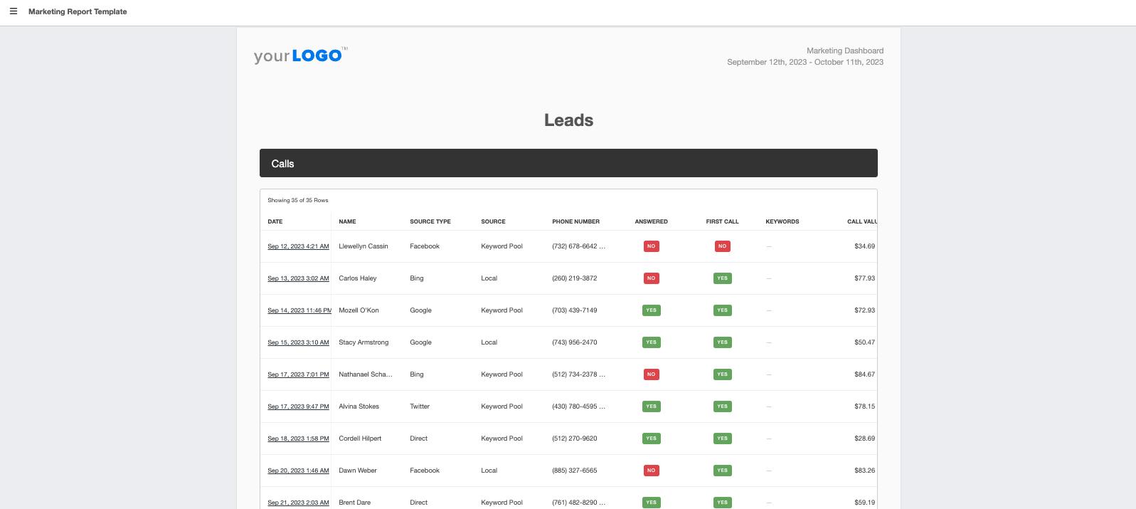 Marketing Report Template Leads Generated