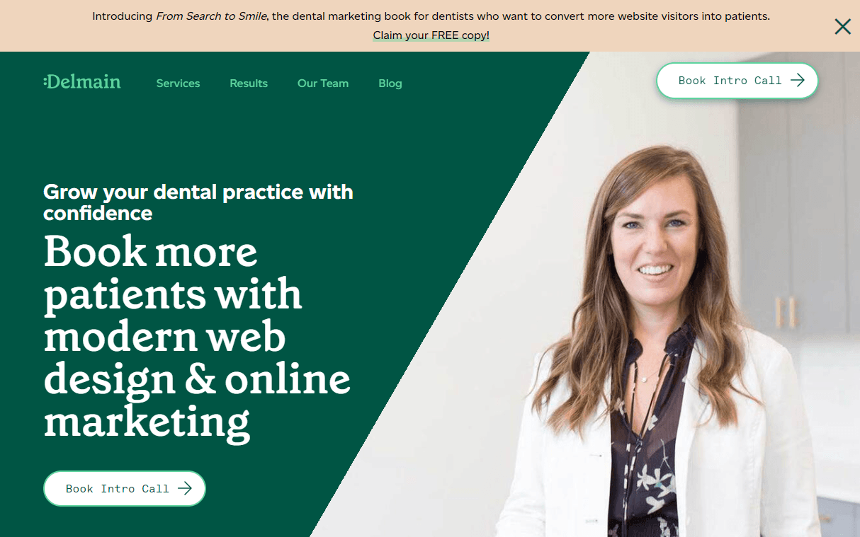 Delmain Marketing Agency Website Example Delmain Marketing Agency Website Example