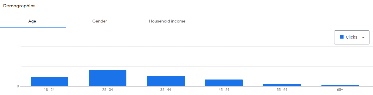 Google Ads Demographic Data Example