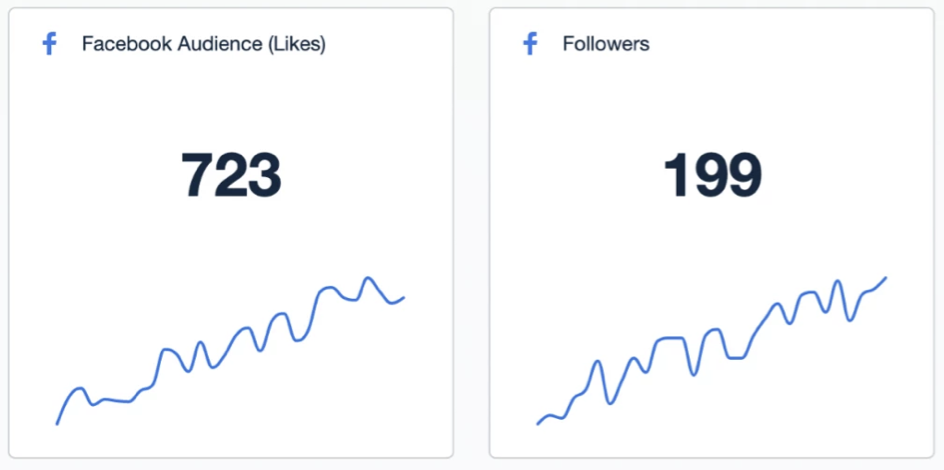 facebook likes and followers widgets in social media marketing dashboard