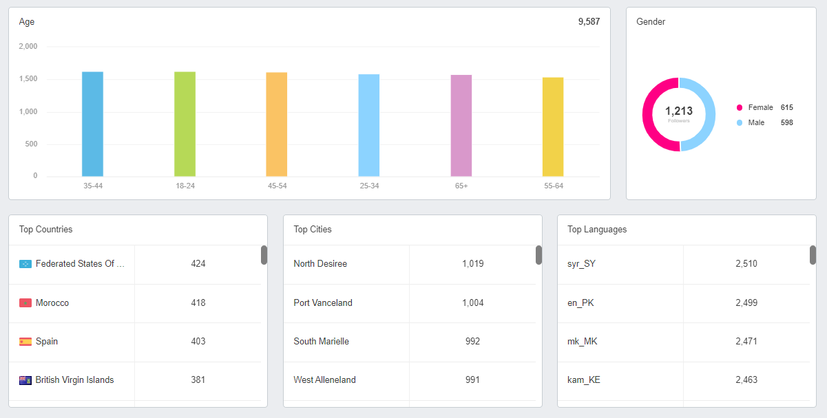 Instagram Demographic Report Example