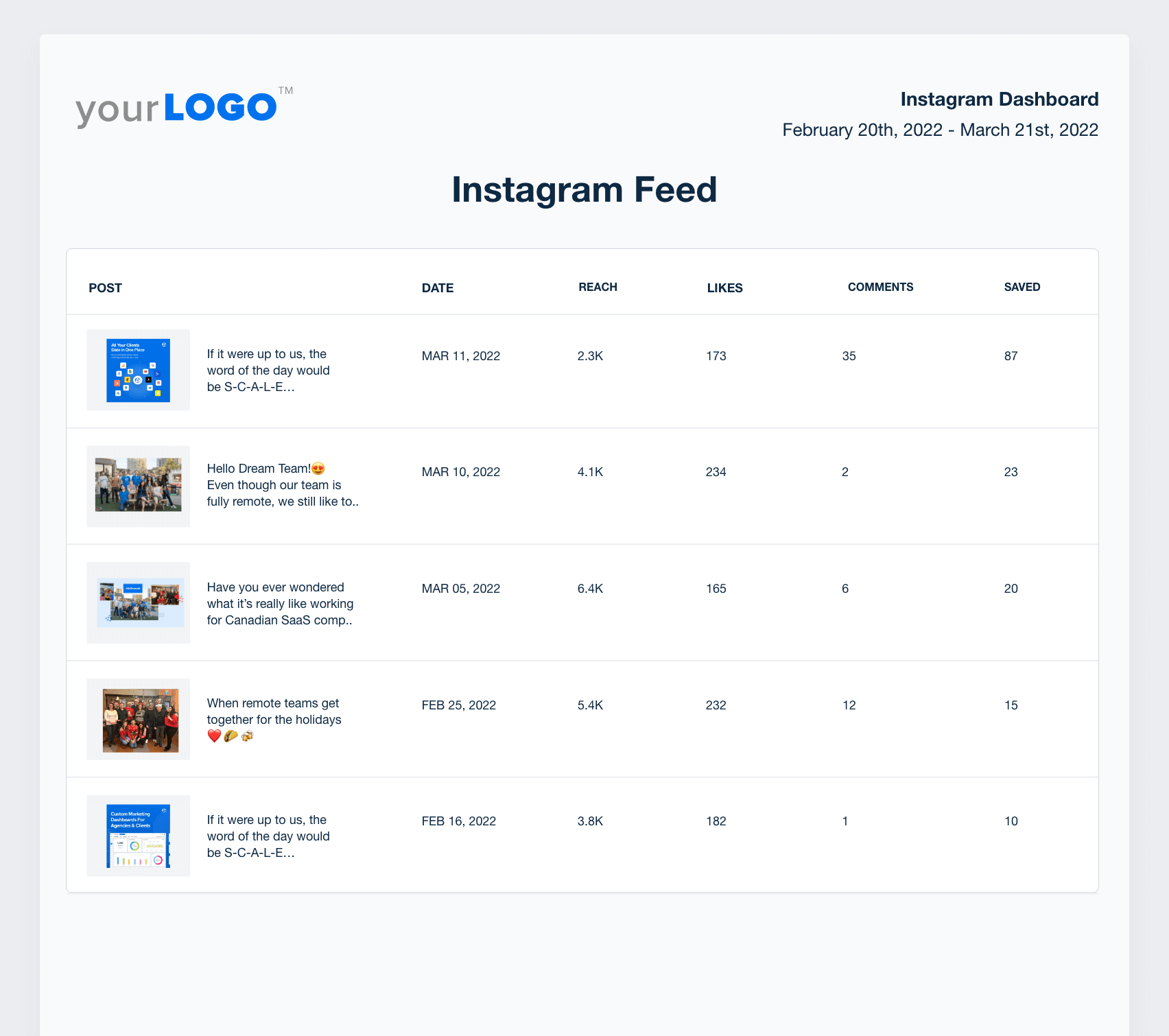 Instagram Feed Report Example