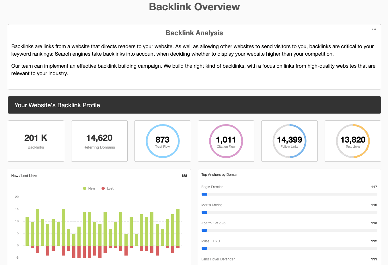SEO Backlink Overview Report Template