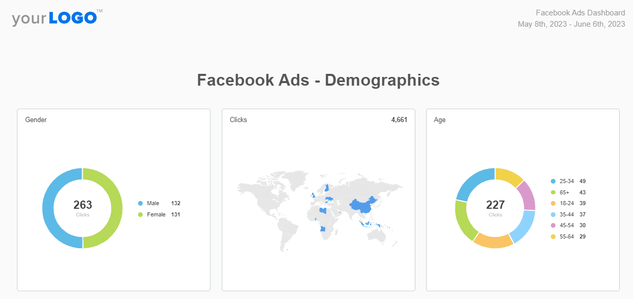 Facebook Ads Report Template Demographics Example