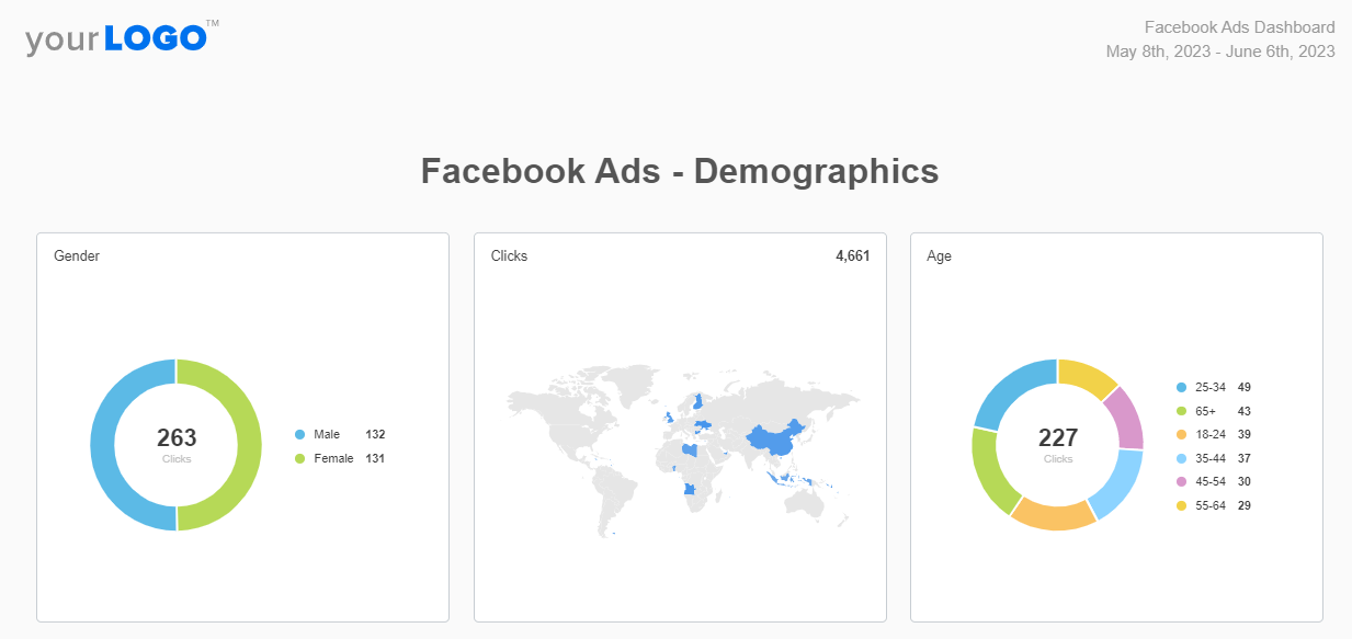 Facebook Ads Report Template Demographics Example