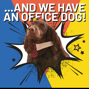 and we have an office dog podcast