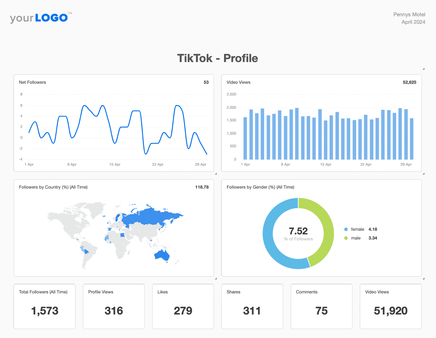 TikTok Profile Report Example TikTok Profile Report Example