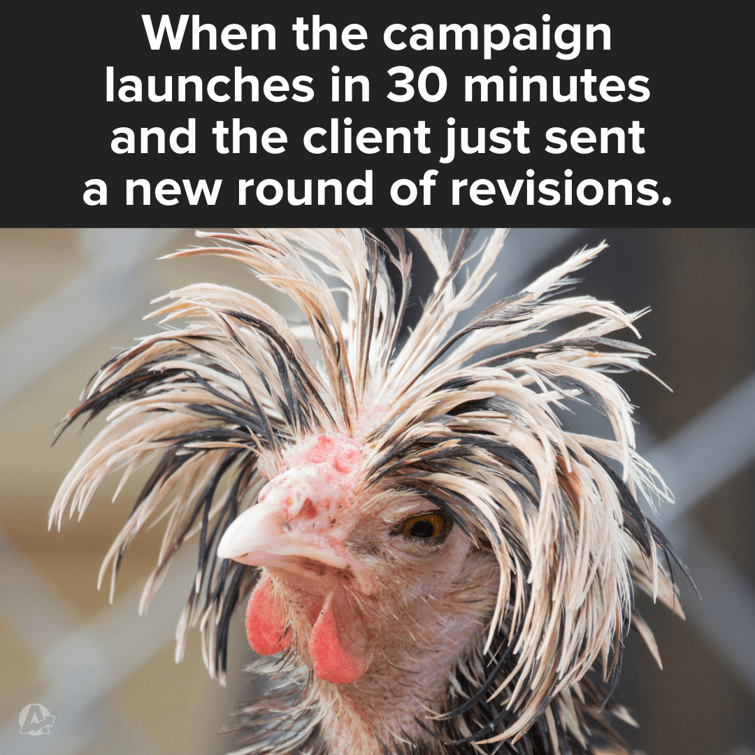 Funny Marketing Meme About Campaign Launch Stress Funny Marketing Meme About Campaign Launch Stress