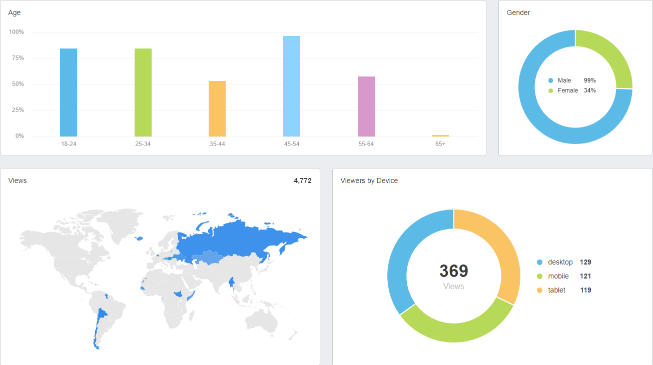 AgencyAnalytics YouTube Demographics Dashboard