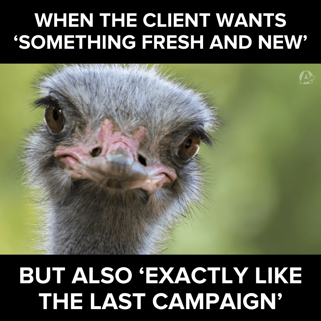 Marketing Agency Fresh and New Creative Concept Meme Marketing Agency Fresh and New Creative Concept Meme