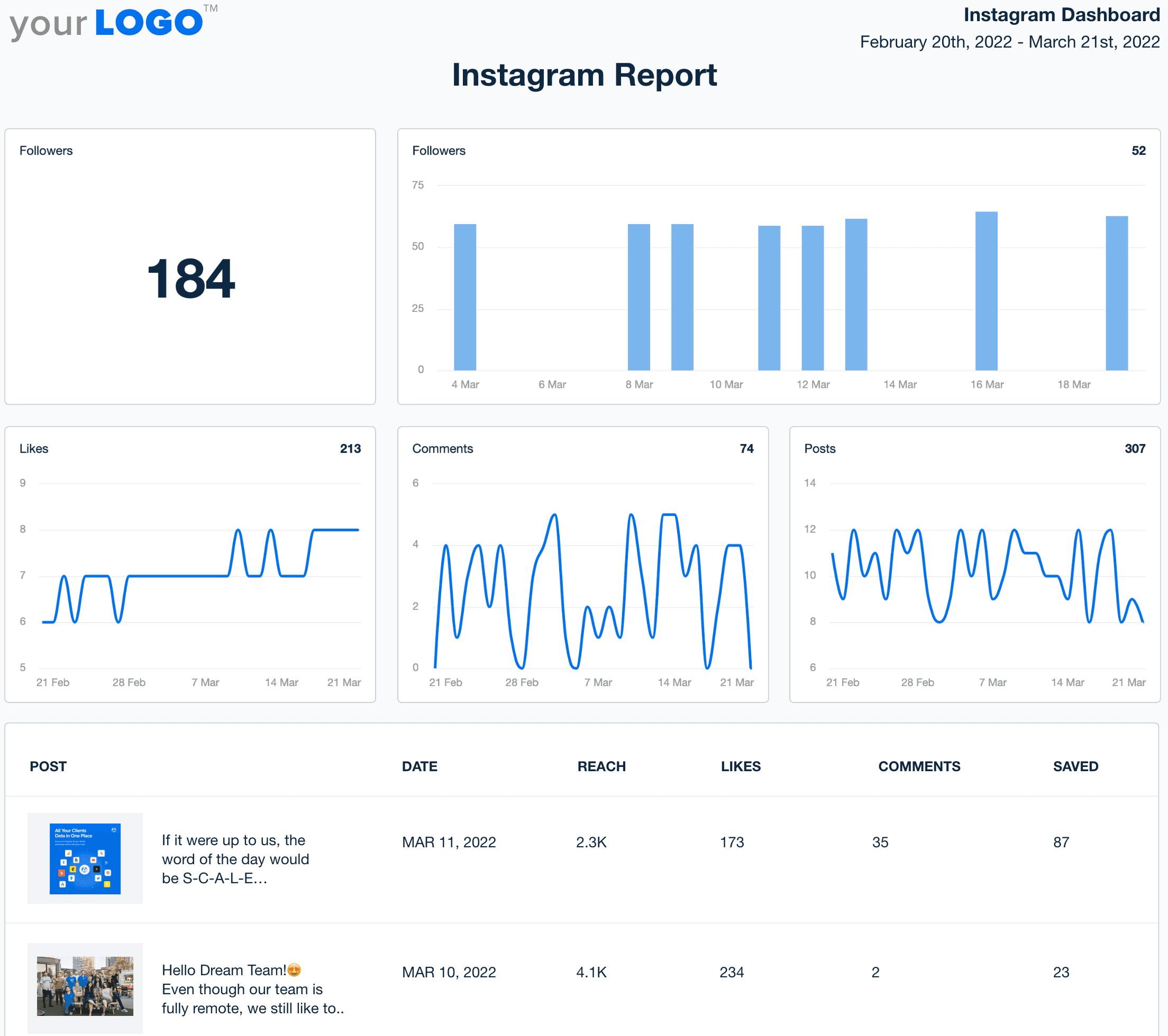 Instagram Report Template Example
