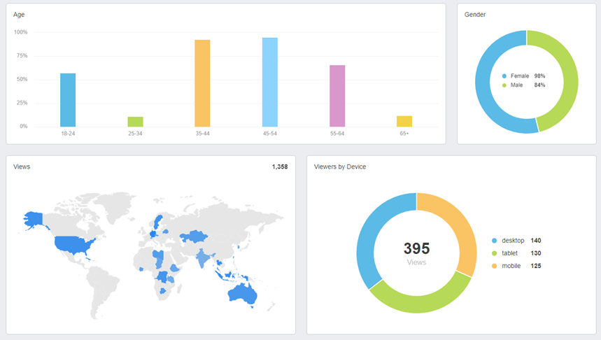 AgencyAnalytics YouTube Demographics Dashboard