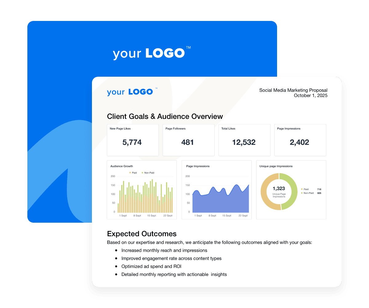A Sample of a Professional Social Media Proposal Template