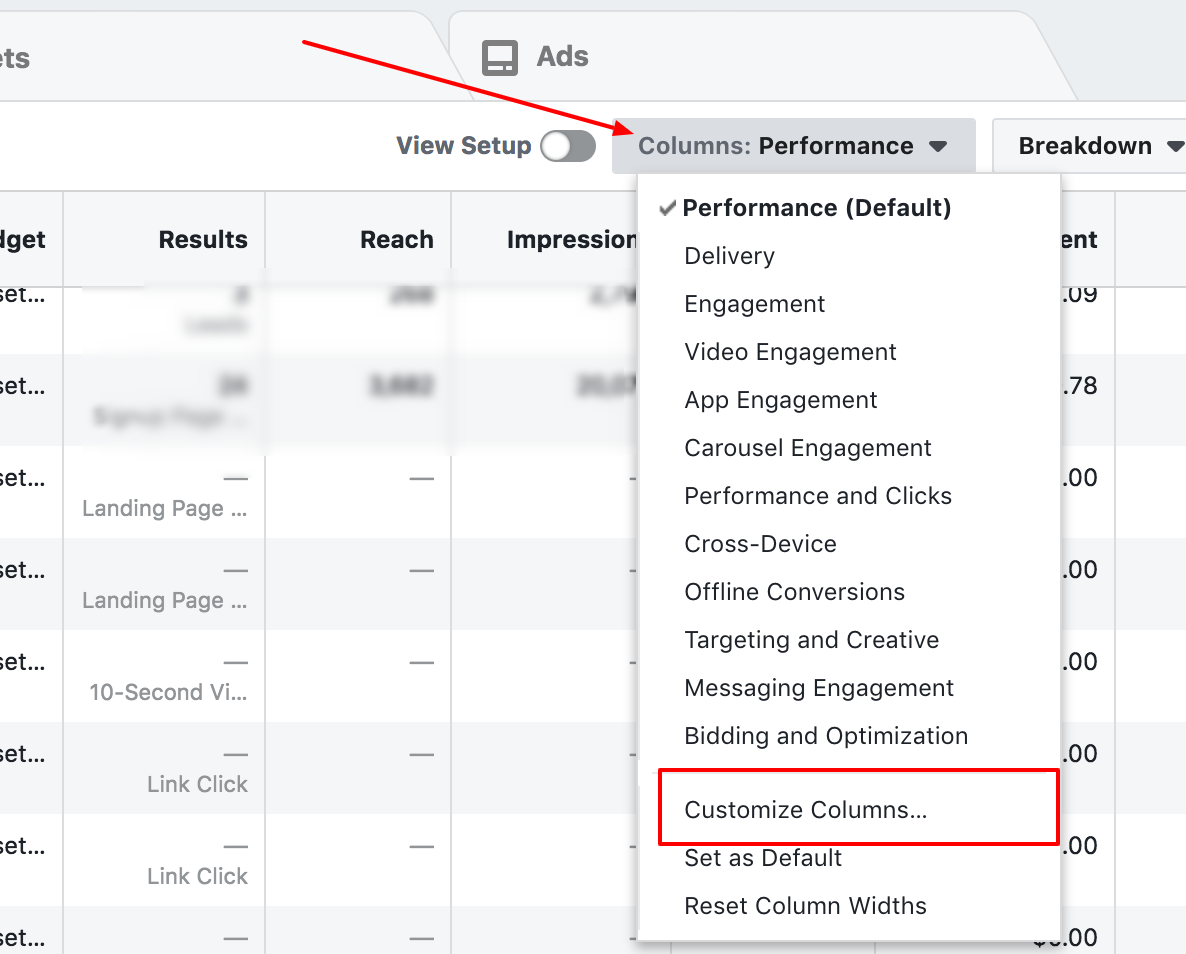 Facebook Ads performance column