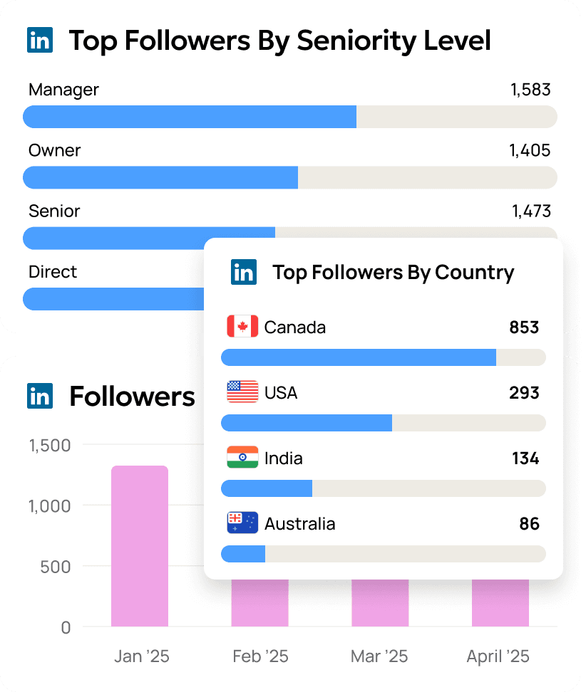 LinkedIn Audience Demographics & Firmographics Examples