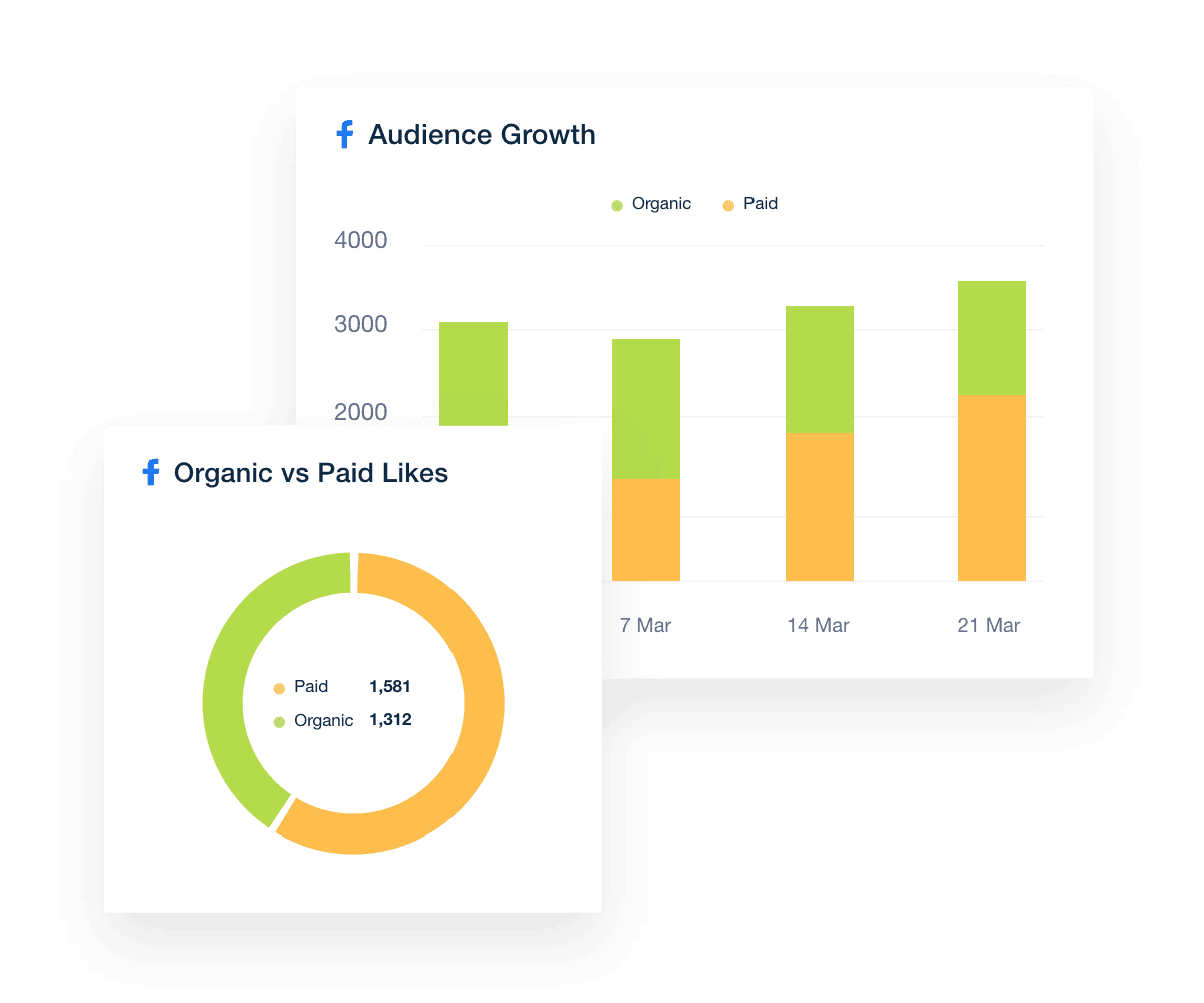 Facebook Metrics Widget Examples