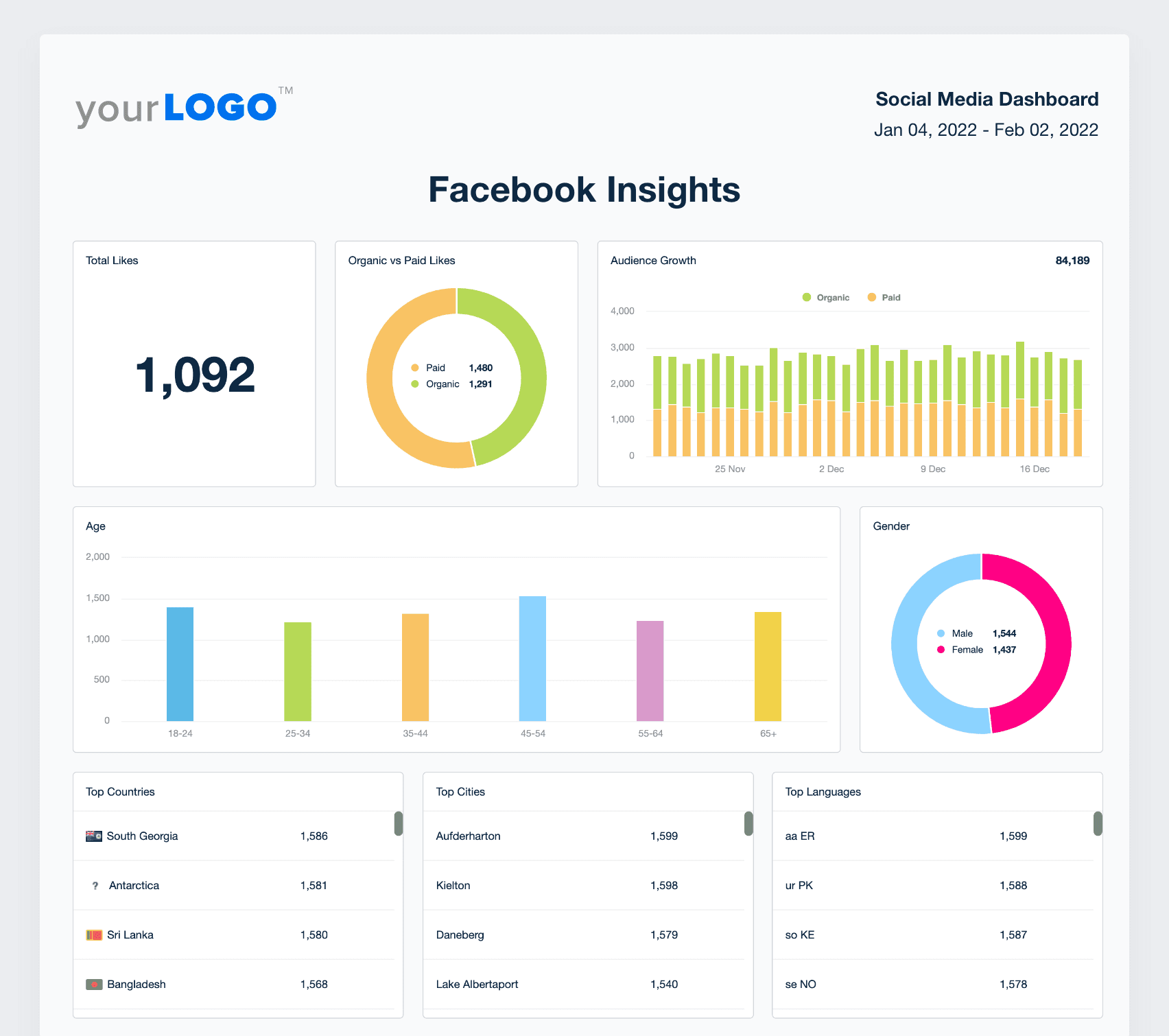 Facebook Insights from the Social Media Reporting Template