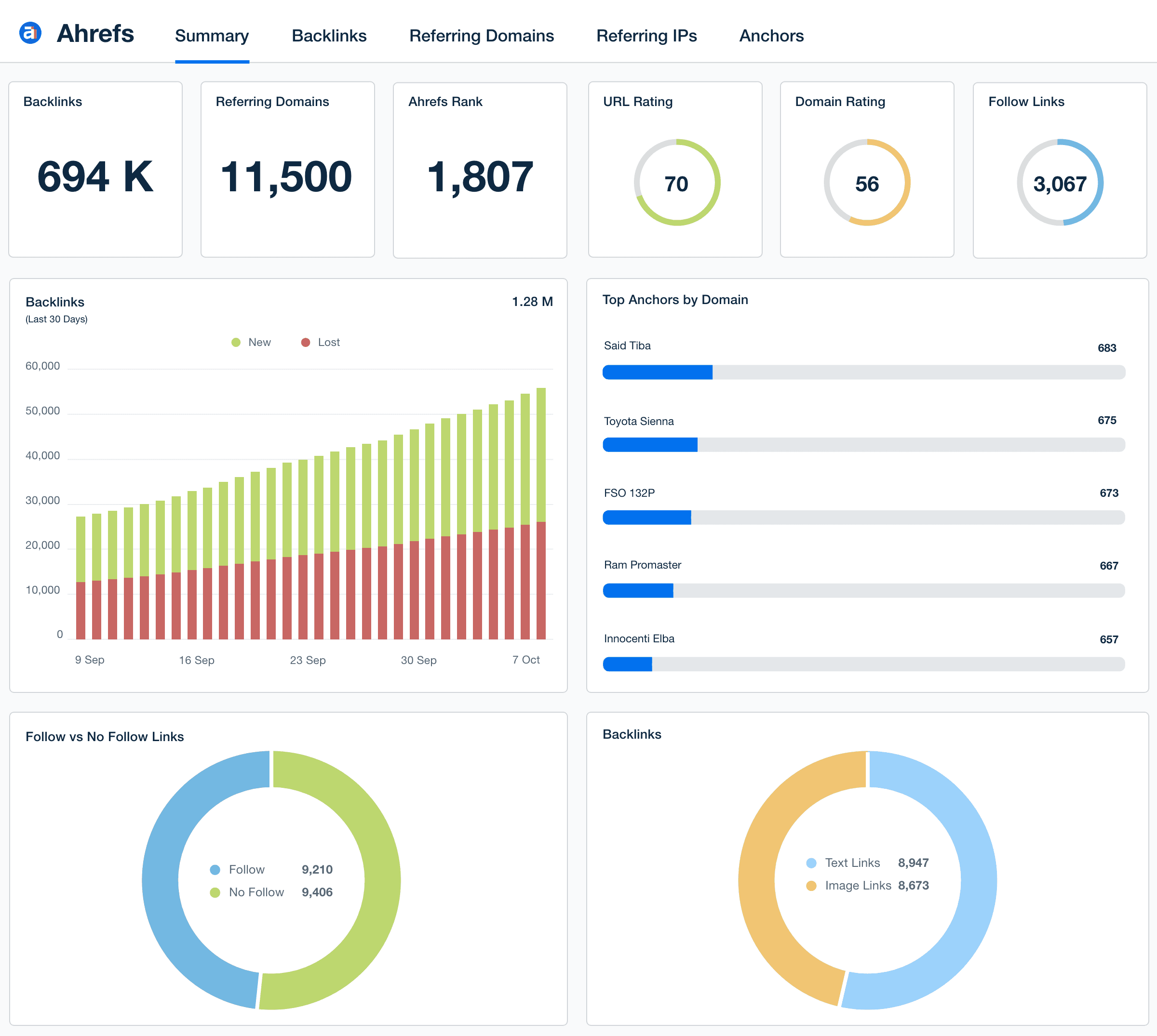 Ahrefs Dashboard Template Example
