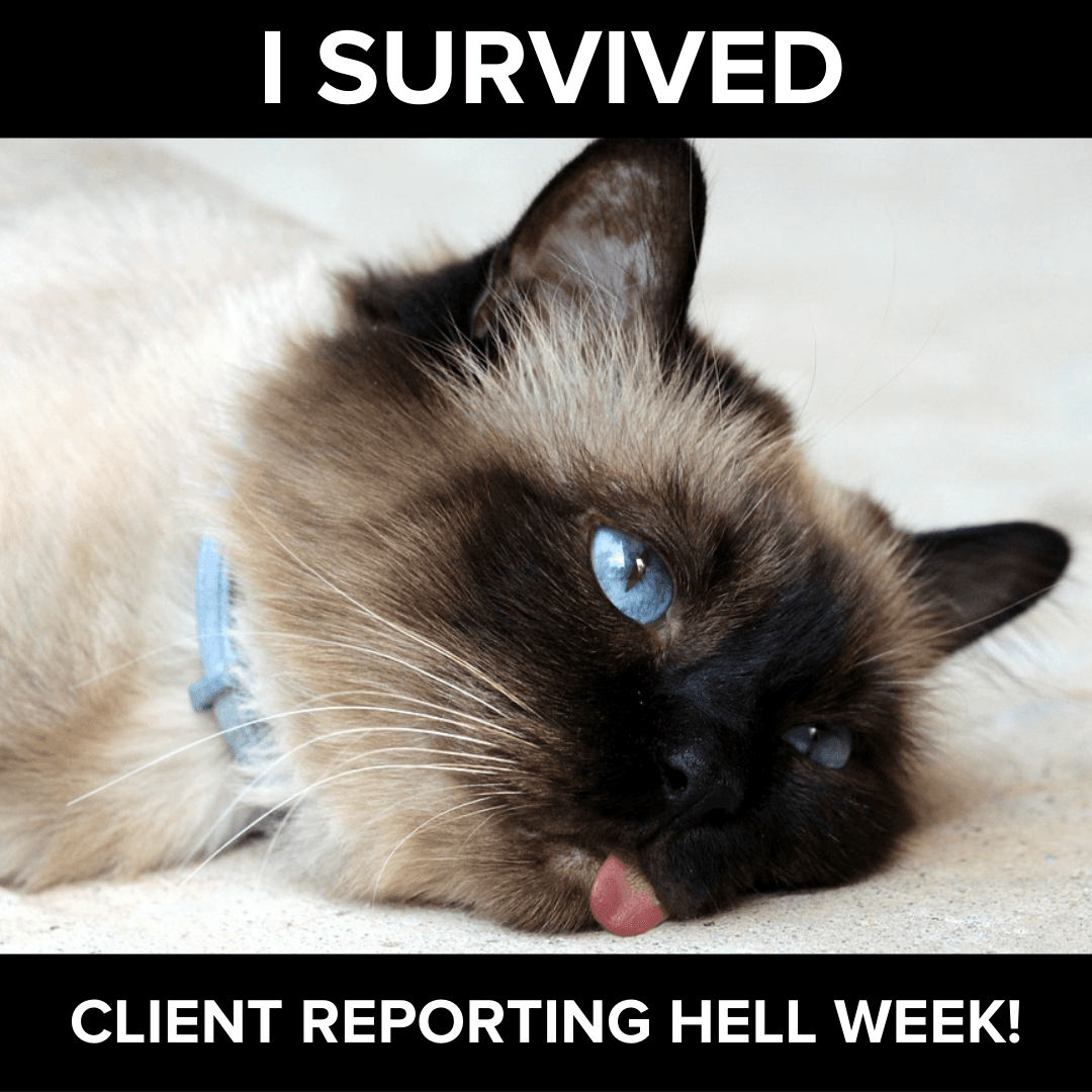 Client Reporting Hell Week MEME